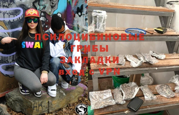 мяу мяу мука Алексин