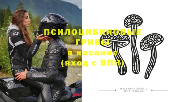 мяу мяу мука Алексин