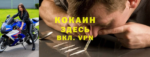 крисы Алексеевка