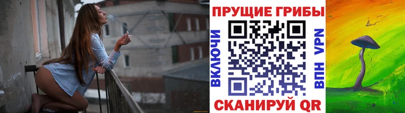 Галлюциногенные грибы ЛСД  Купить  Струнино 